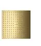 AXOR-HG-AXOR-ShowerSolutions-Kopfbrause-250-250-2jet-Decke-Polished-Gold-Optic-35313990 gallery number 1